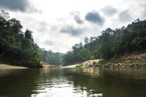 Drucke von Fluss Tembeling, Regenwald, Dschungel, Kuala Tahan, Taman Negara, Malaysia Tahan Drucke: Tembeling River, Regenwald, Dschungel