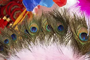 Bird Feather Patterns Drucke: Tender beautiful bird feathers and pattern