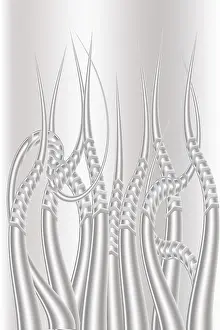 Deserted Nature Scene Germany Drucke: Tentacle like abstract with clipping path