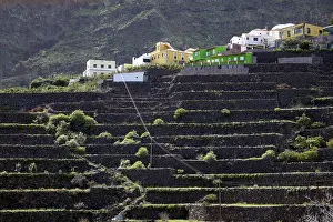 Canary Islands Agriculture Drucke: Terraced fields in Agulo, La Gomera