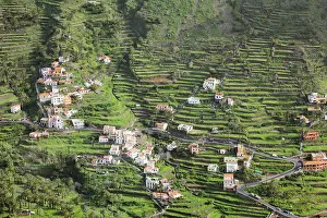 Valle Gran Rey Spain Drucke: Terraced fields in Valle Gran Rey