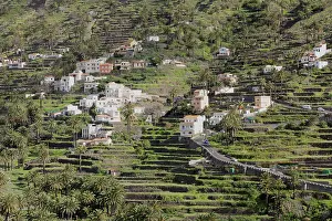 Deserted Village Spain Drucke: Terraced fields, Valle Gran Rey