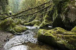 Southern Germany Nature Tourism Drucke: Teufelskuche, Devil's Kitchen