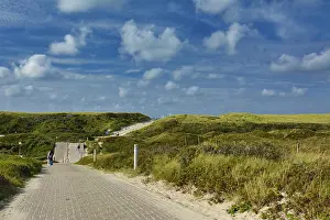 North Holland Coast Drucke: Texel, Netherlands
