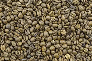 Raw Coffee Beans Drucke: Texture, background of whole coffee beans, raw