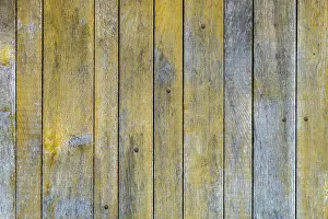 Wooden Plank Background Design Drucke: Texture, background, plank wall