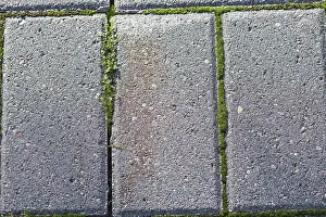Rustic Decorative Item Drucke: Texture of a boulder with moss and lichen