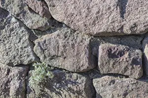 Close Up Texture Drucke: Texture of a boulder with moss and lichen