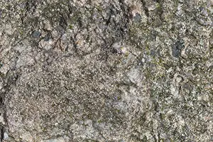 Deserted Rock Surface Drucke: Texture of a boulder with moss and lichen