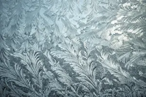 Deserted Ice Landscape Drucke: Texture, frost flowers