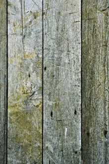 Close Up Detail Drucke: Texture of gray boards
