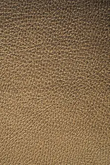 Deserted Building Surface Drucke: Texture of leather