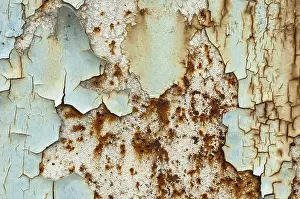 Textured Surface Drucke: Texture, metal with flaking paint, rust