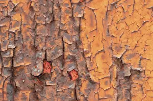 Deserted Metal Structure Drucke: Texture, metal with flaking paint, rust