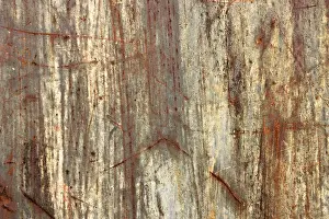 Full Frame Textured Image Drucke: Texture, metal with paint