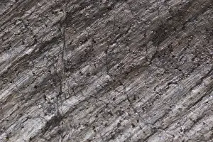 Ornate Stucco Work Drucke: The texture of natural stone, sandstone