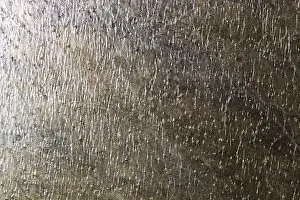 Granite Design Drucke: The texture of natural stone, sandstone