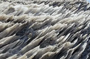 Eastern Europe Rock Formations Drucke: Texture of salt mountain, Sovata
