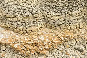 Drucke von Gekrästelte Muster bildeten sich in trockenem, gekerbtem Ton, durchsetzt mit zersplitterten Fragmenten Nord Dakota Drucke: Gekrümmelte Muster bildeten sich in Trockenheit.