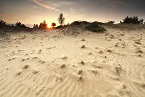 Central Europe Sunset Mood Drucke: Textures on sand dune at sunset in summer
