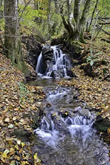 Low Mountain Range Scenery Drucke: Thalbach, typical small river with small waterfall steps