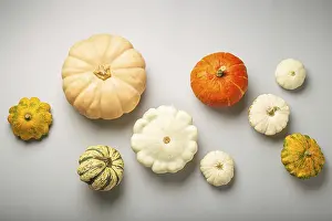 Thanksgiving Food Photography Drucke: Thanksgiving or fall composition with different assorted pumpkins on light gray background top view