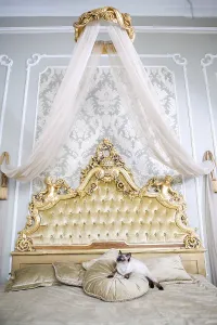 Luxury Cat Drucke: The theme is luxury and wealth