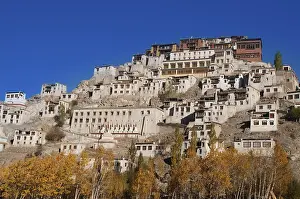 Buddhist Faith In Asia Drucke: Thiksey Monastery in deep blue sky