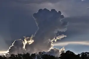 Bilder Datiert 24. Mai 2024: Drohender Gewitterwolke wächst in den Himmel über einem Wald.