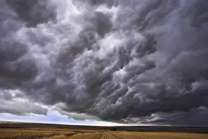 Natural Preserve Landscapes Drucke: The thundercloud closes the sky above boundless plain in state of Montana