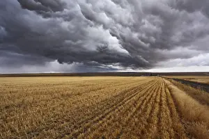 Cloudy Landscape Photography Drucke: Thunderclouds above fields after harvesting