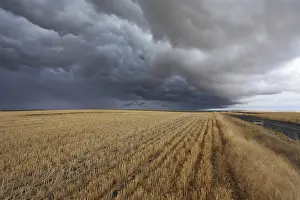 Cloudy Landscape Photography Drucke: Thunderclouds above fields after harvesting