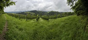 Bilder Datiert 30. Mai 2024: Donnerwolken, hügeliges Landschaft.