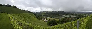 Bilder Datiert 30. Mai 2024: Thunderclouds vineyard print