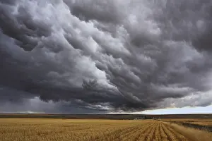 Dramatic Weather Photography Drucke: Thunderstorm above fields after harvesting