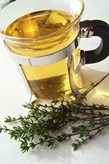 Thyme Tea Benefits Drucke: Thyme tea
