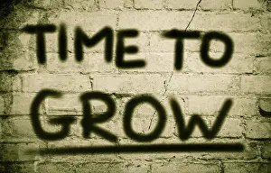 Symbolic Flight Image Drucke: Time To Grow Concept