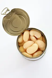 White Beans Drucke: Tin can, opened can of white beans