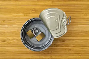 Data Security Concept Drucke: Tin can with a two linked brass padlocks