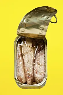 Drucke von Dose Sardinen Sardine Drucke: Dose Sardinen