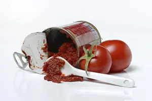 German Food Products Drucke: Tinned tomato paste, Tomatoes, Germany
