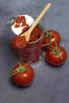 Tomato Paste Drucke: Tinned tomato paste and tomatoes, Germany