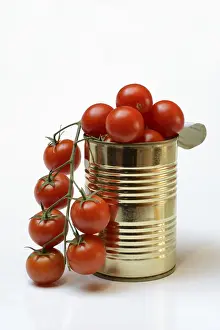 Single Colored Backgrounds Drucke: Tinned tomatoes, cherry tomatoes