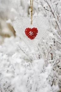 Winter Festive Decoration Drucke: TkmDhx3tkSM