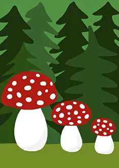 Poisonous Mushrooms In Europe Drucke: Toadstools in front of fir tree