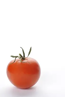 Fresh Tomato Slice Drucke: Tomato