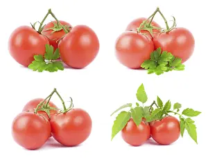 Studio Shot Vegetable Drucke: Tomato