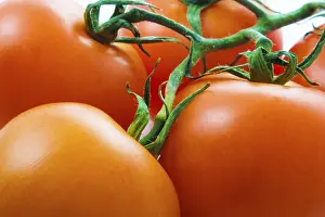 Food Images Drucke: Tomato background