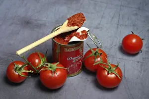 Still Life Food Drucke: Can of tomato paste and tomato paste on a wooden spoon