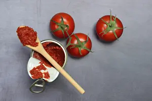 Tomato Paste Drucke: Can of tomato paste and tomato paste on a wooden spoon